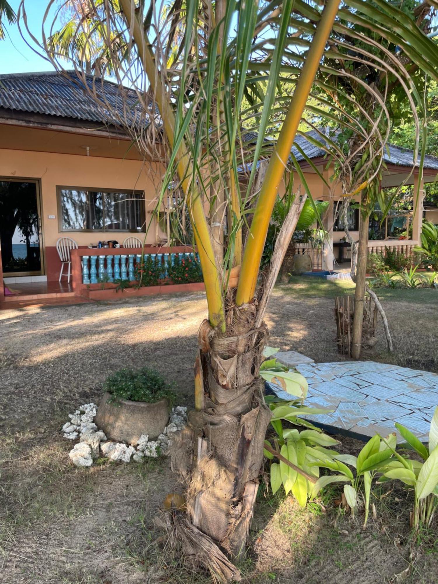 Baanyaiguesthouse Koh Mak Exterior foto